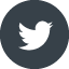 Twitter logo free icon 2