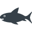 Shark free icon