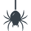 Spider free icon 4