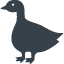 Duck side view Free icon 2