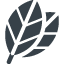Tree Leaf free icon 11