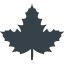 Maple leaf free icon 1
