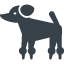 Poodle silhouette free icon