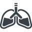 Lungs organ free icon 3
