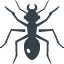 Ant silhouette free icon 1