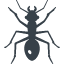 Ant silhouette free icon 2