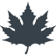 Autumn maple leaf icon 1
