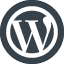 WordPress logo icon 1