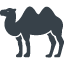 Camel fee icon 1