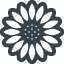 Sunflower icon 1