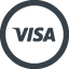 VISA icon 1